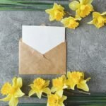 Spring greeting postcard representing best wishes and new beginnings